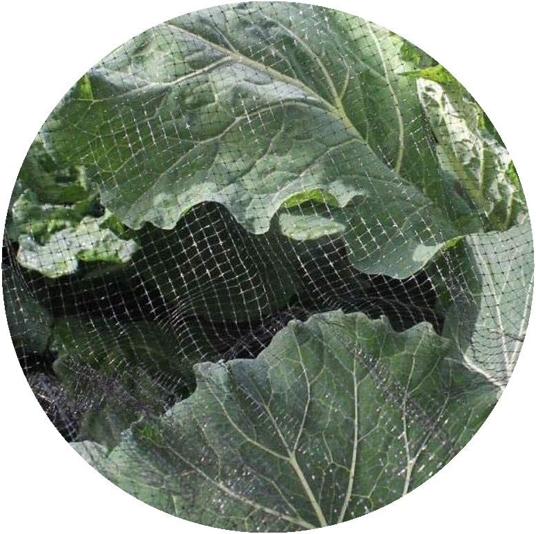 Butterfly Protection Netting Insect Garden Netting 2 x 10m More