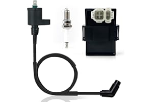 NEIVILU Ignition Coil Igniter CDI Box Spark Plug For Honda Recon 250 TRX250 TRX250TM TRX250TE 2002-2009 2011-2020 Sportrax 250 TRX250 TRX250EX 2001-2008 TRX250X 2009 2011-2020 30410-HN6-000 30510-HN6-000