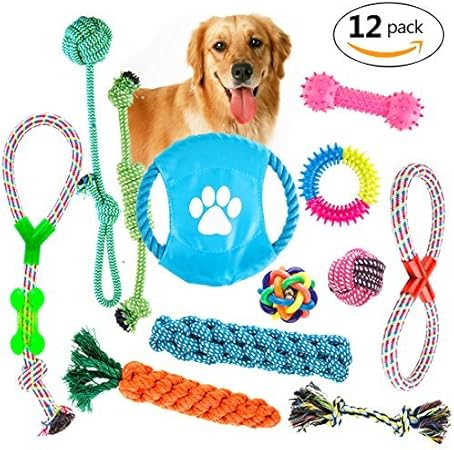 dog toy gift set