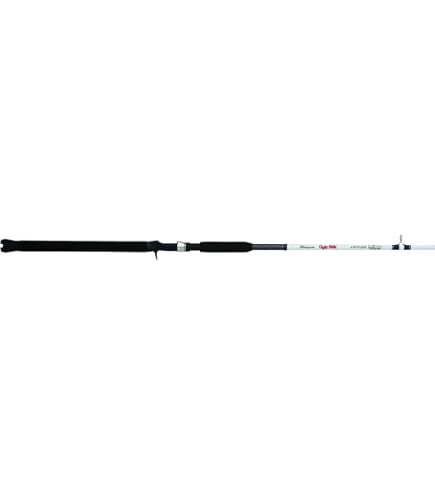 Amazon.com : Daiwa Liberty Club Short Swing Rod No. 10-240 N