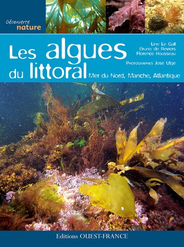 Les  algues du littoral