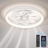Low Profile Ceiling Fans with Lights and