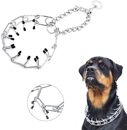 titan prong collar