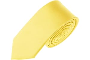 FOMANN Solid Color Boys Tie Children and Teen's Skinny Necktie 2.5 inches