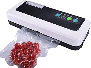 Heat Gun For Shrink Wrapping Food Saver Vacuum Sealer Machine Food Saver Vacuum Machine Packaging Machine Small Household Food Vacuum Sealing Machine Preservation Machine (Color : White)