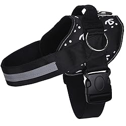 Joyride Basic Essential Dog Harness 1.0