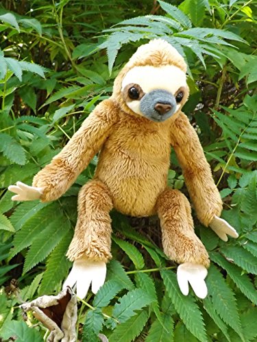 Buy Baby Sloth Stuffed Toy Animal - Cute 8" Plush Baby Sloth Online at