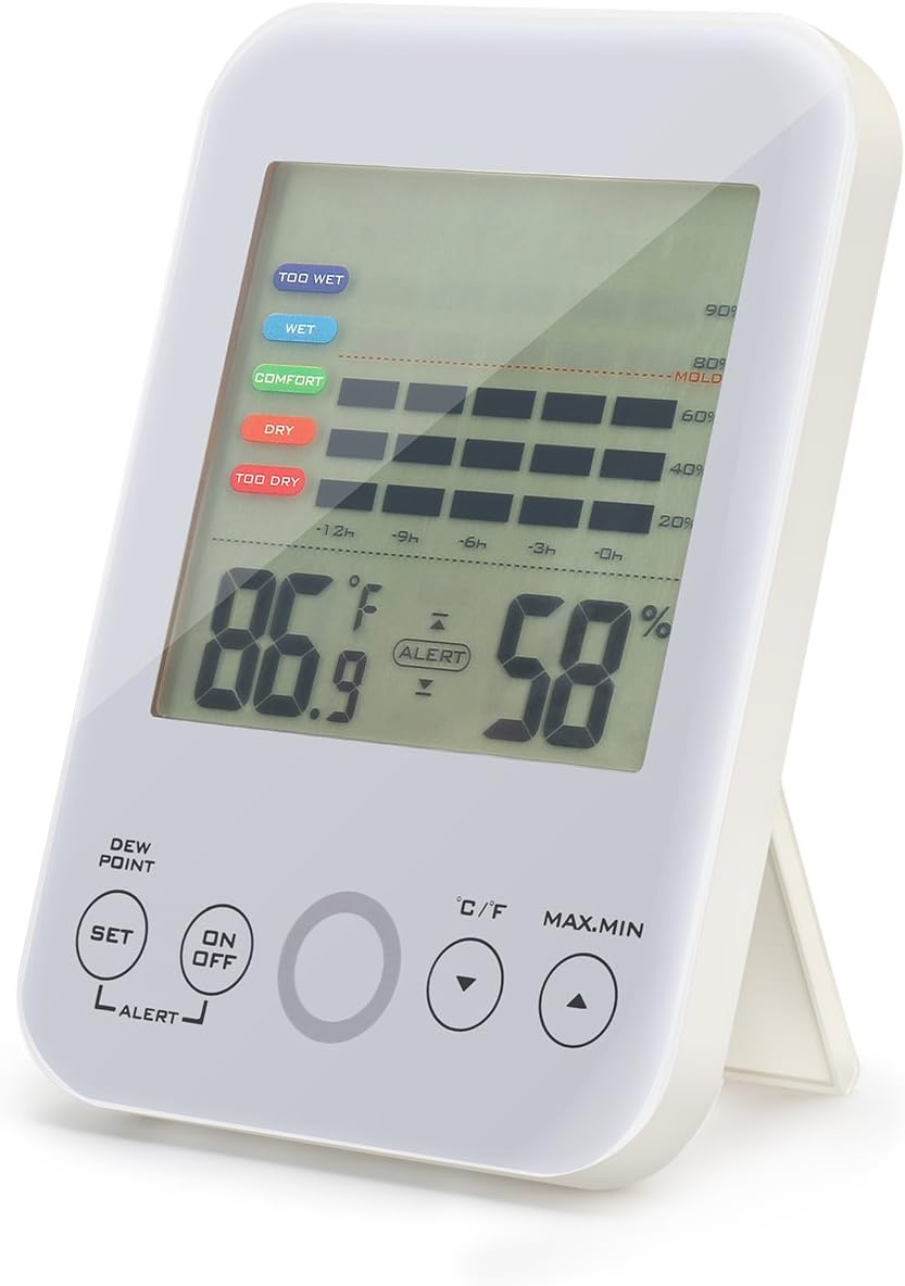 Best Black Mold Test Kit For Home Air