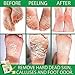 NEW 2018 Exfoliating Foot Peel Mask For Soft Smooth Touch Baby Feet - 2 Pairs Peeling Away Calluses Dead Skin Remover for Feet - Repair Rough Heels - Aloe Baby Foot Peel