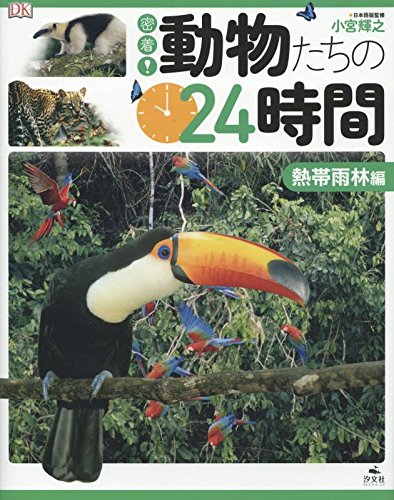 密着 動物たちの24時間 熱帯雨林編 弘子 渋谷 輝之 小宮 本 通販 Amazon