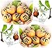 20 Medlar Showy Mespilus - Mespilus germanica TREE Seeds - TASTE LIKE APPLE BUTTER - ZONE 6 AND UP