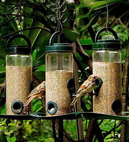 Bird Feeder Pack Of 2 Feed Birds Various Grains Transperent