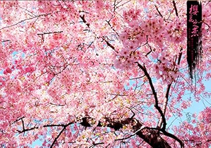 81 Wallpaper Romantic Scenery Gratis Terbaru