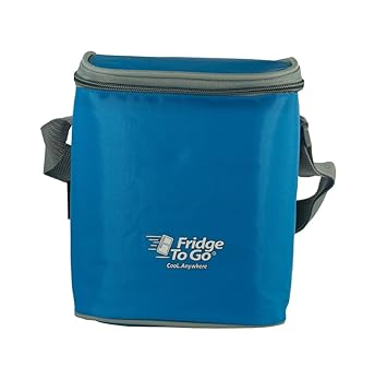 fridge to go insulated lunch box