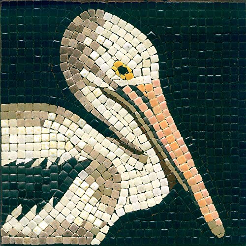 Pelican