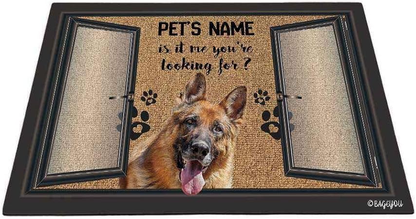 funny german shepherd