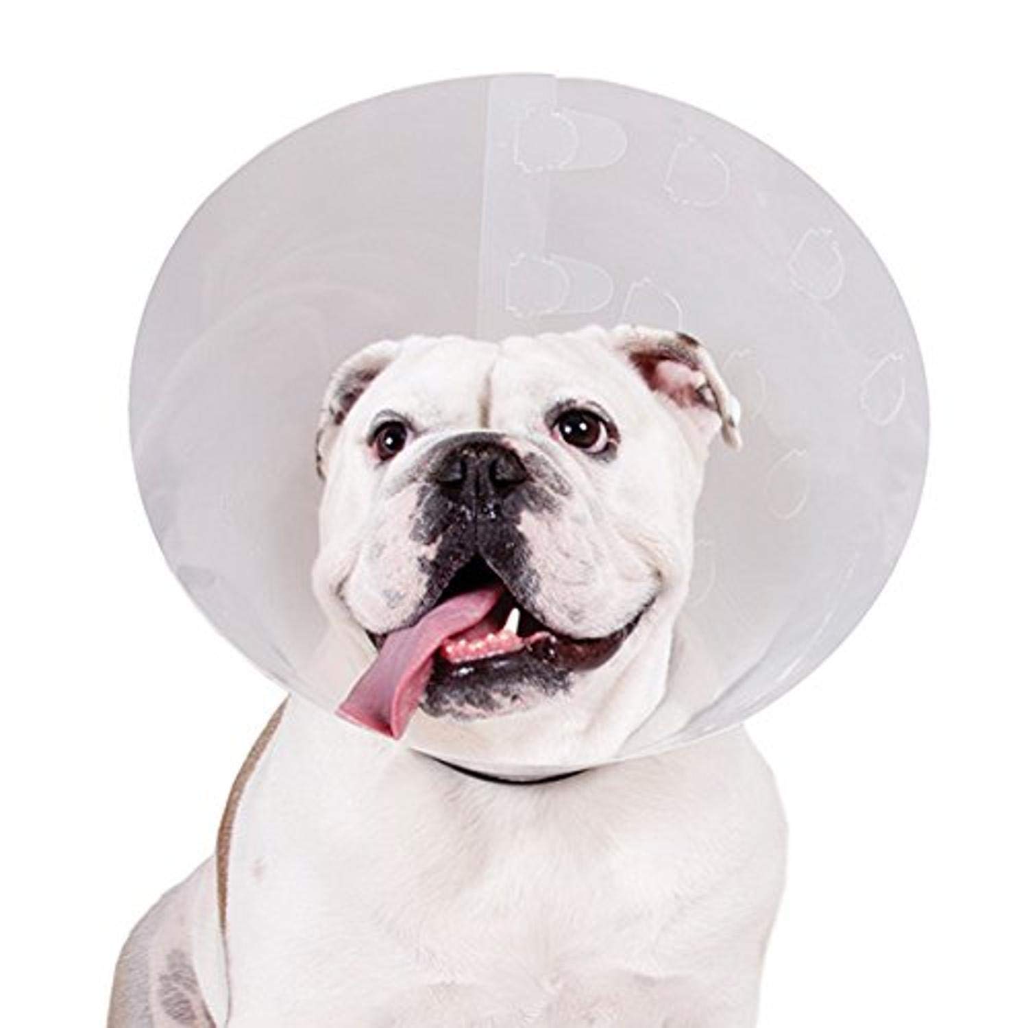 kvp dog cone