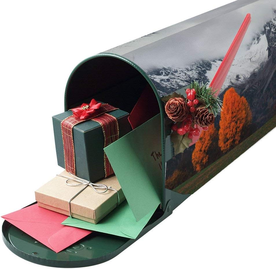Mailbox Covers Winter Landscape of Mountain