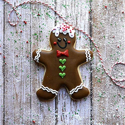 6PCS Cute Funny Gingerbread Boy and Girl Christmas Lebkuchen Cookie