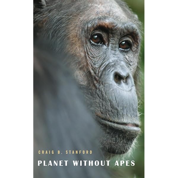 洋書 PRIMATE BEHAVIORAL ECOLOGY 5th Edition 51ssia8EZ3L._AC_SY200_QL15_.jpg