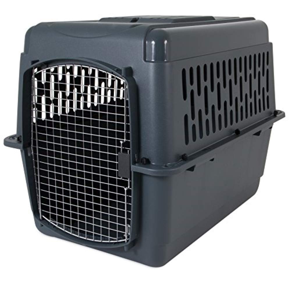 Aspen Pet Porter HeavyDuty Pet Carrier with Secure Lock, 9 Sizes, 13