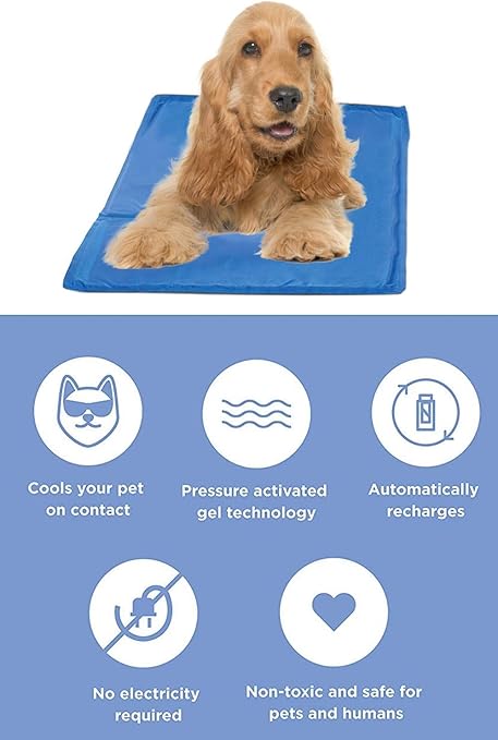 chillz cooling pad for dogs