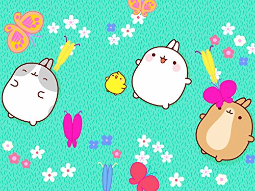 Molang : The Butterfly / The Surprise