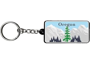 AMERICANPHOENIX Beautiful & Unique Keychains - USA Souvenir, Collectible Design,Flexible Silicone, Keyring Lanyard Accessory