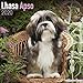 Lhasa Apso Calendar - Dog Breed Calendars - 2019 - 2020 Wall Calendars - 16 Month by Avonside (Multi by 