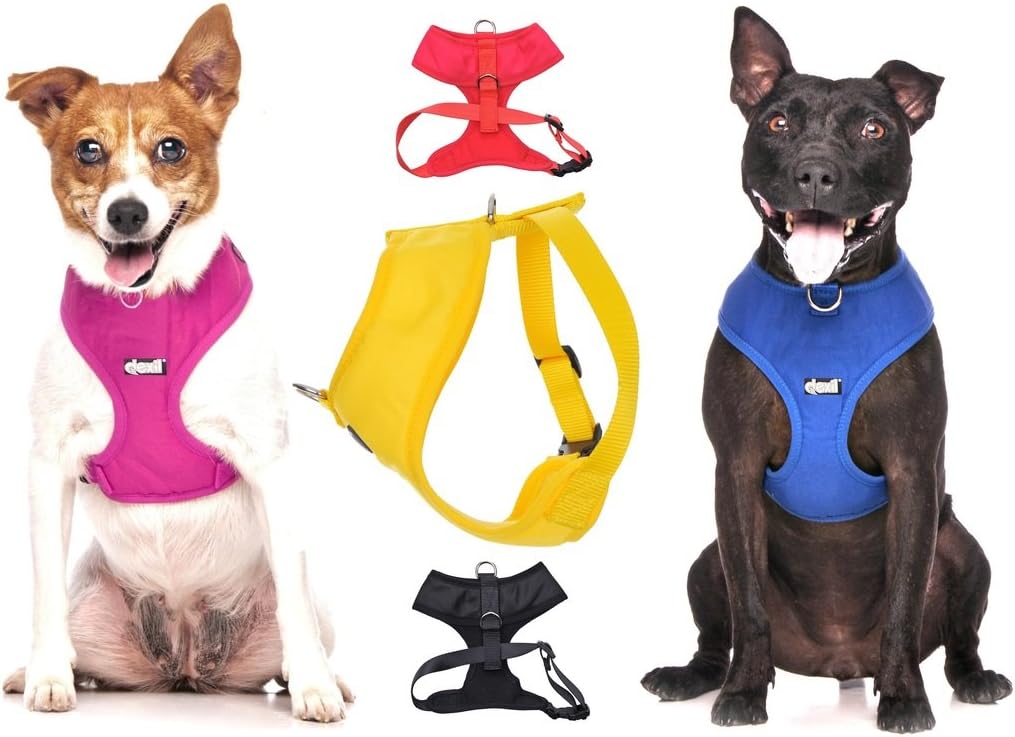 Elite Range Luxury Padded Waterproof Adjustable Back and Front Ring Non-Pull Medium Pet Dog Vest Harness (Royal Blue, Medium 48-72cm Chest)