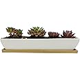 Kipokalor White Rectangular Long Succulent Planter Pot,11.1x2.36x1.77inch Modern Minimalist Ceramic Succulent Planter Pot with Saucer for Office,Desk,Window.