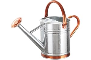 WEHOME 1 Gallon Watering Can for Outdoor Plants and Indoor Plants，Premium Galvanized Steel Watering Can with 2 Handles，Metal Flower Watering Can with Removable Sprinkler Head，Vintage Silver