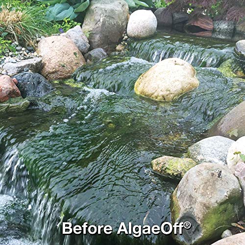 CrystalClear AlgaeOff - String Algae Remover - 10 pounds Treats Up to 4,000 Square Feet - Thumbnail 3