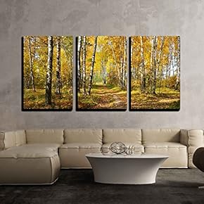 3 Piece Canvas Wall Art - Birch Grove in Autumn Forest - Modern Home Art Stretched and Framed Ready to Hang - 16"x24"x3 Panels
