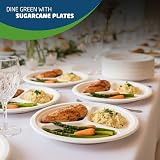 1ABOVE 10 Inch 3 Compartment Sugarcane Plates 50 Pack Eco Friendly Biodegradable view 4