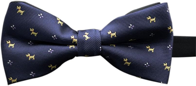 NUOLUX Gravatas borboleta masculinas Essenciais de festa de casamento (azul): Amazon.com.br: Amazon Moda