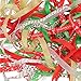 BBTO 10 Pieces Christmas Grosgrain Ribbon Winter Holiday Ribbon for Gift Wrapping