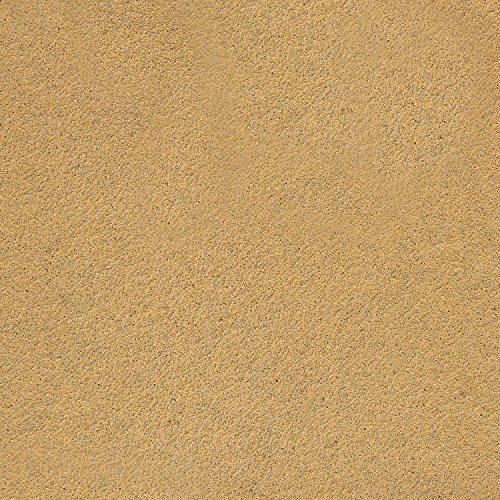 3 Dura+Gold+Premium+Continuous+Stickyback+Woodworking