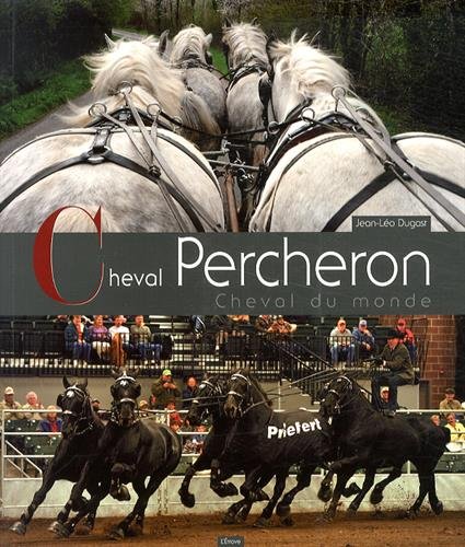 Cheval percheron