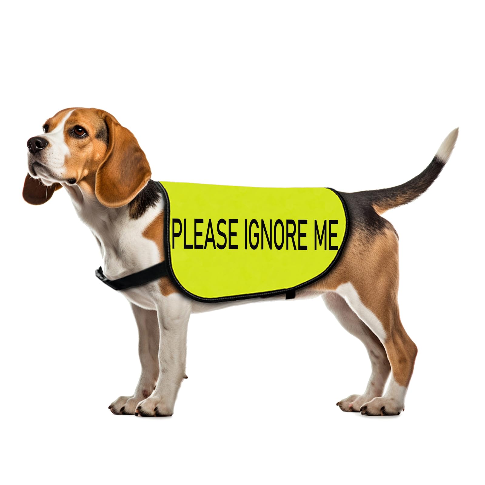 Working Dog Jacket Vest Please Ignore Me Alert Dog Slogan Vest Social Distancing Gift (Please Ignore Me-Medium)
