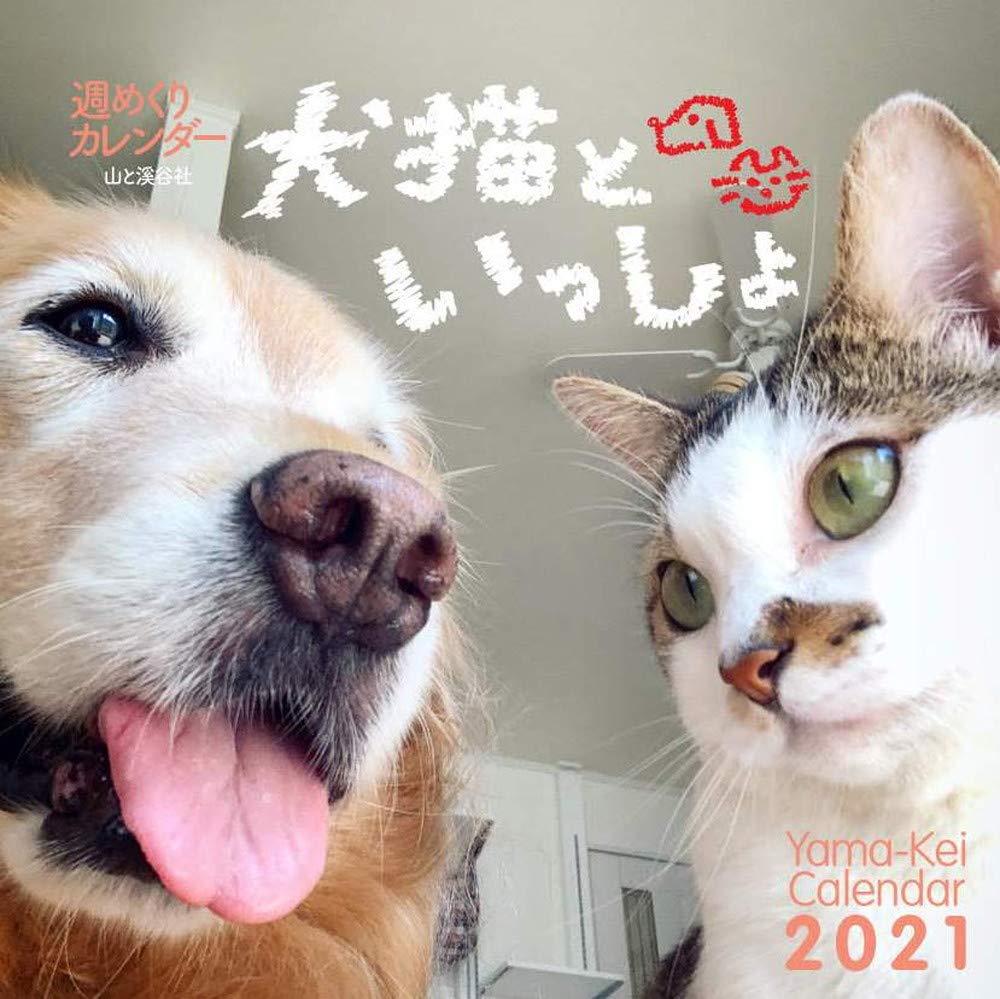 カレンダー21 週めくりカレンダー 犬猫といっしょ 卓上 リング ヤマケイカレンダー21 山と溪谷社 本 通販 Amazon