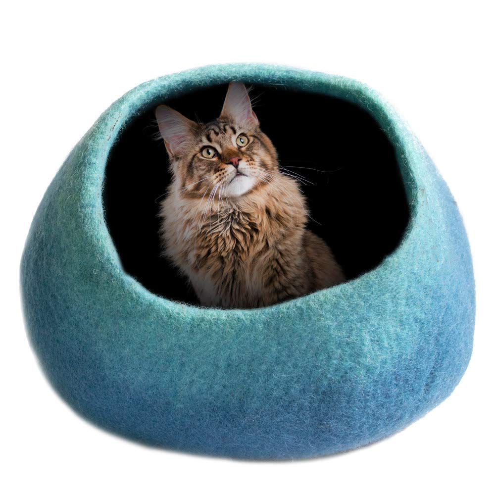 covered cat beds
