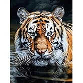 Bimkole 5D Diamond Art Kits for Adults Tiger, Full Drill Animal DIY Rhinestone Embroidery Set Paint with Diamonds Art by Number Kits Cross Stitch Home Wall Craft Decoration 12x16 Inch