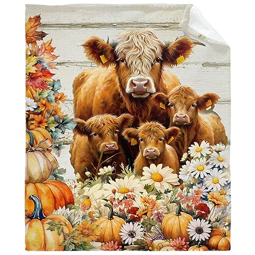 Highland Cow Throw Blanket Gift for Girls Boys Flower Blanket Gift for Kids Super Soft Lightweight Flannel Pumpkin Blankets for Bed Sofa Couch 40x50Inch