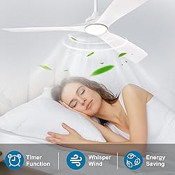 Depuley 60" Modern Ceiling Fan with Lights and