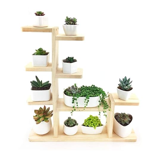 XYHX Estante para Flores de Interior Macizo de Madera de múltiples ...