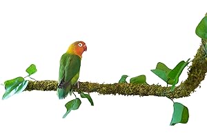 Begeterday 25 Inch Bendable Bird Perches, Bird Toys, Ideal Bird Cage Accessories