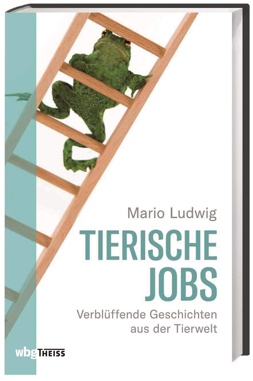 Tierische Jobs Verbluffende Geschichten Aus Der Tierwelt Frosche Als Schwangerschaftstest Diabetikerwarnhunde Blutegeltherapie Und Knabberfische So Helfen Uns Aussergewohnliche Tiere Im Alltag Mario Ludwig Amazon De Bucher