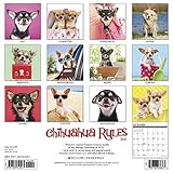Image de Chihuahua Rules 2017 Wall Calendar