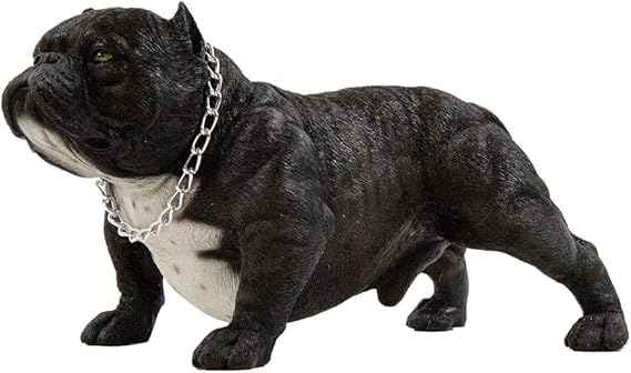 american bully exotic price